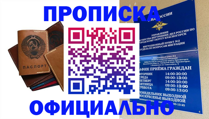 временная прописка в ЕАО